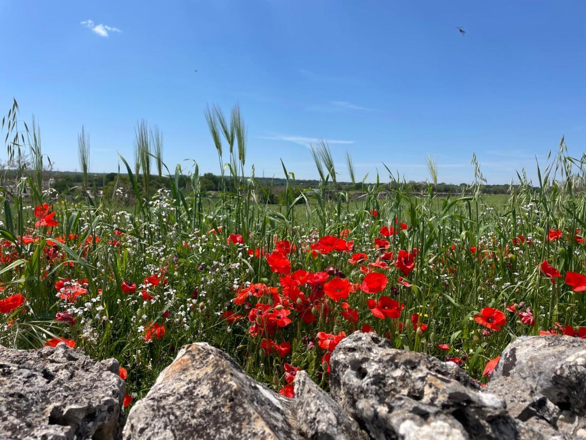 Trullo Trullallero Martina Franca Eksteriør billede