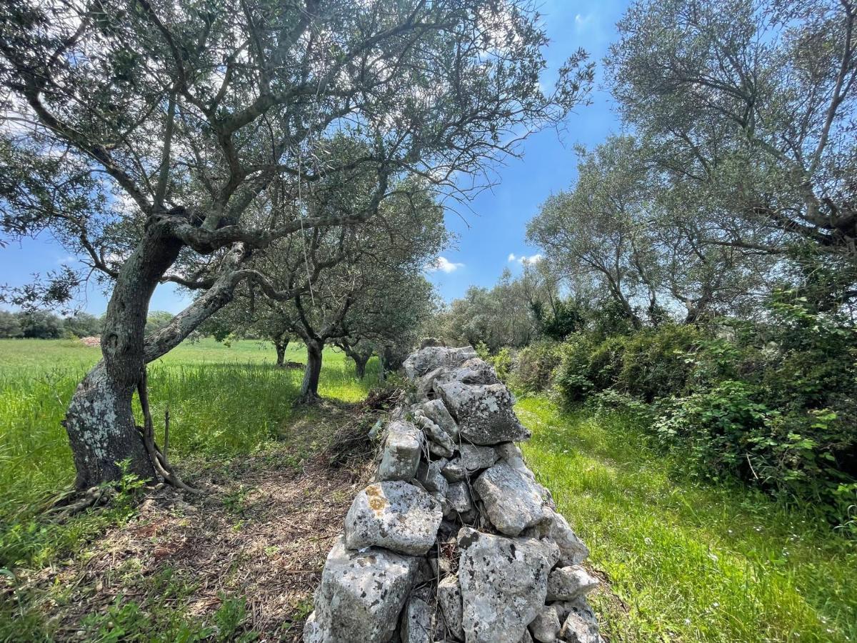 Trullo Trullallero Martina Franca Eksteriør billede