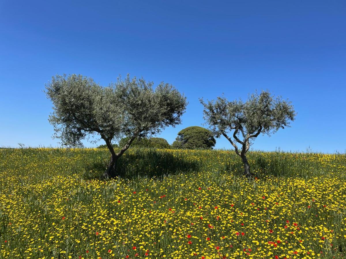 Trullo Trullallero Martina Franca Eksteriør billede