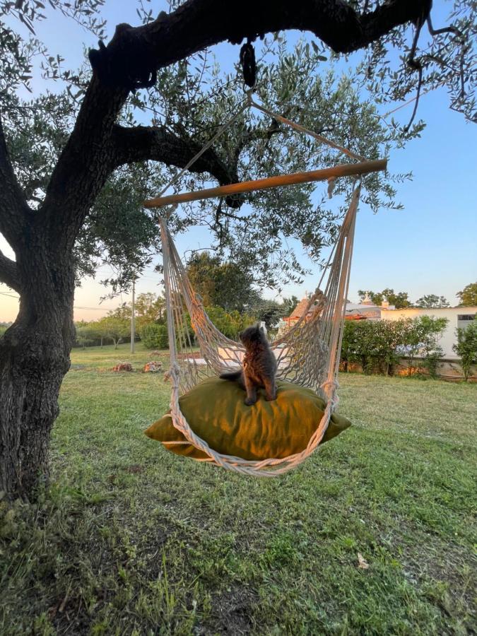 Trullo Trullallero Martina Franca Eksteriør billede